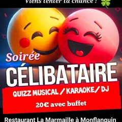Soirée célibataire