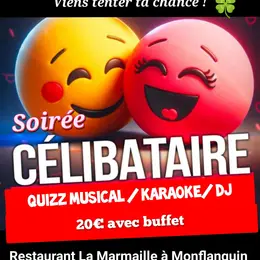Soirée célibataire