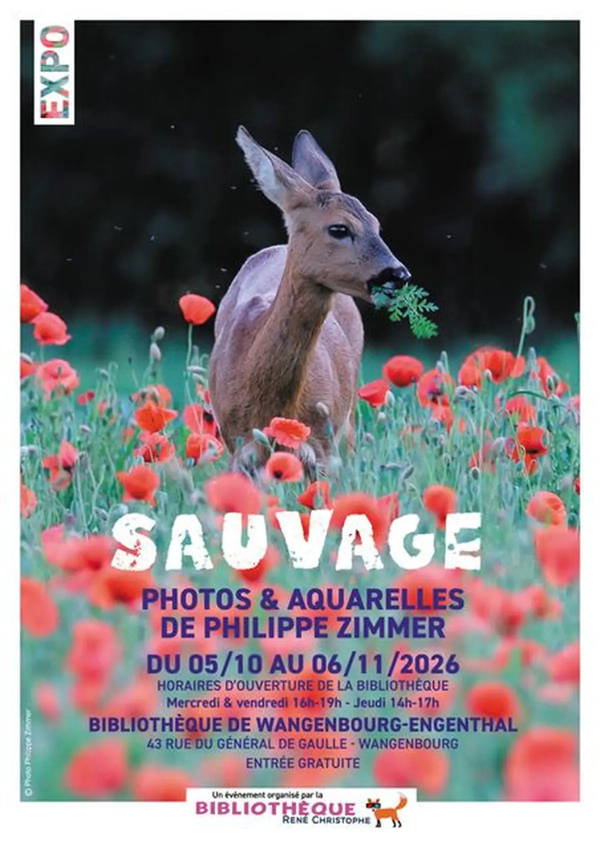 Exposition de photos et d'aquarelles Sauvage, de Philippe Zimmer