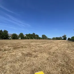 Kid's Golf