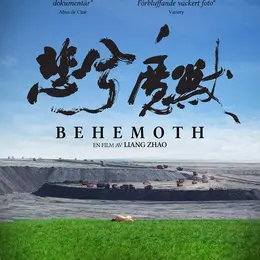 Béhémoth - Le dragon noir - Festival du Film Engagé Thur et Doller