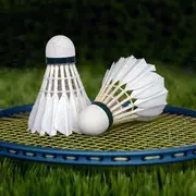 5ème tournoi de badminton