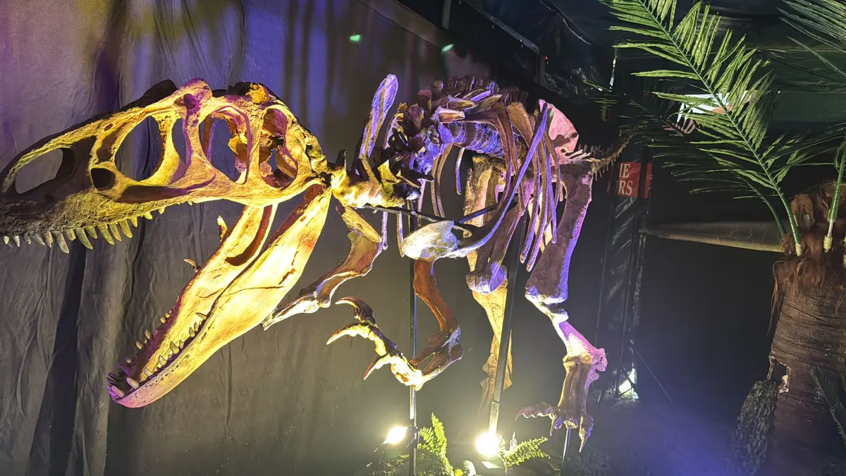 Le Monde des Dinosaures à Cherbourg