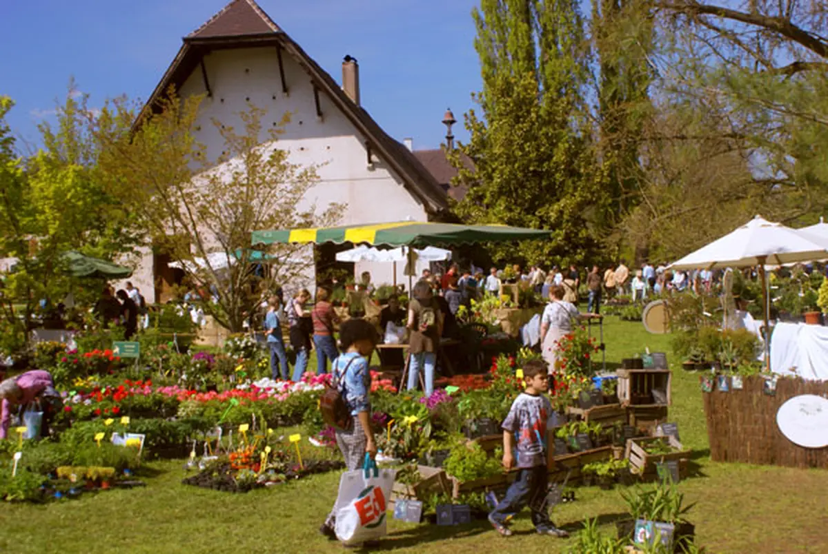 Domaine de Schoppenwihr