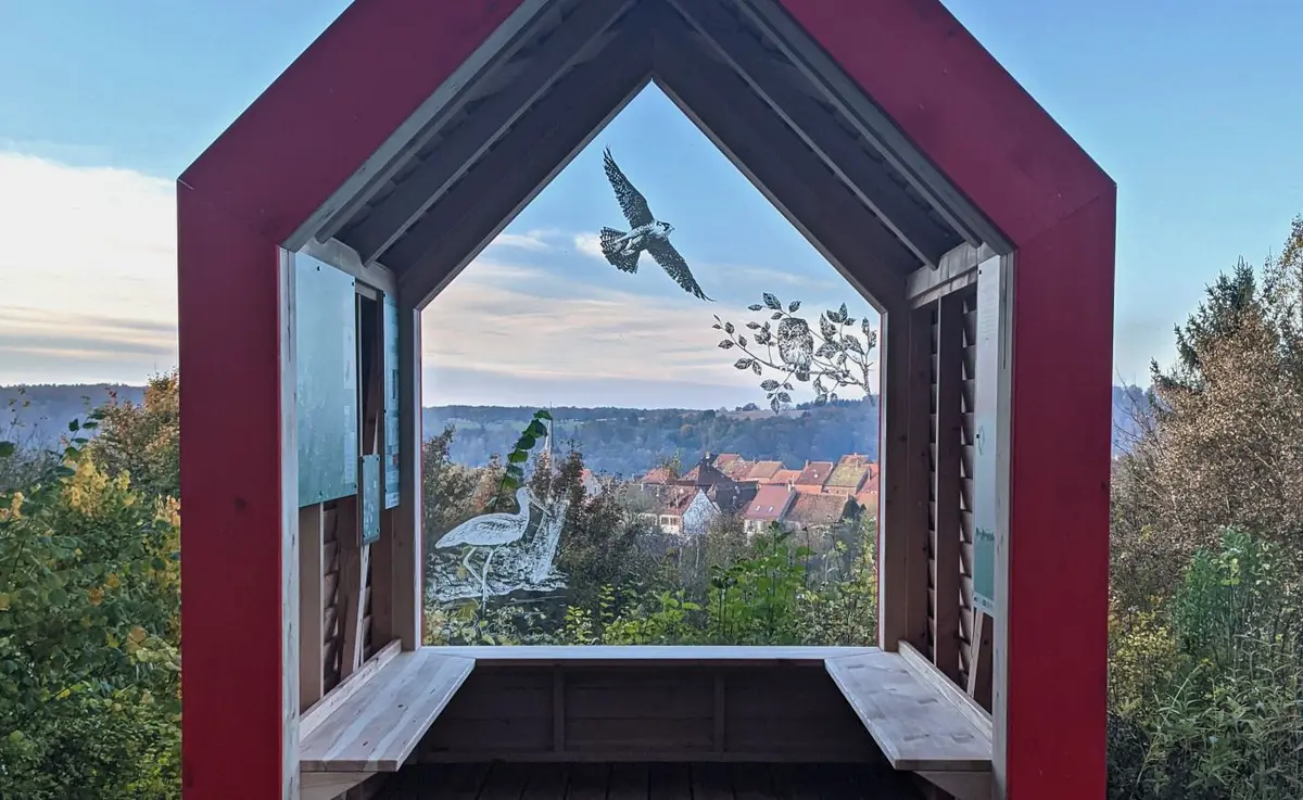 6 Ütes dans le parc naturel des Vosges du Nord