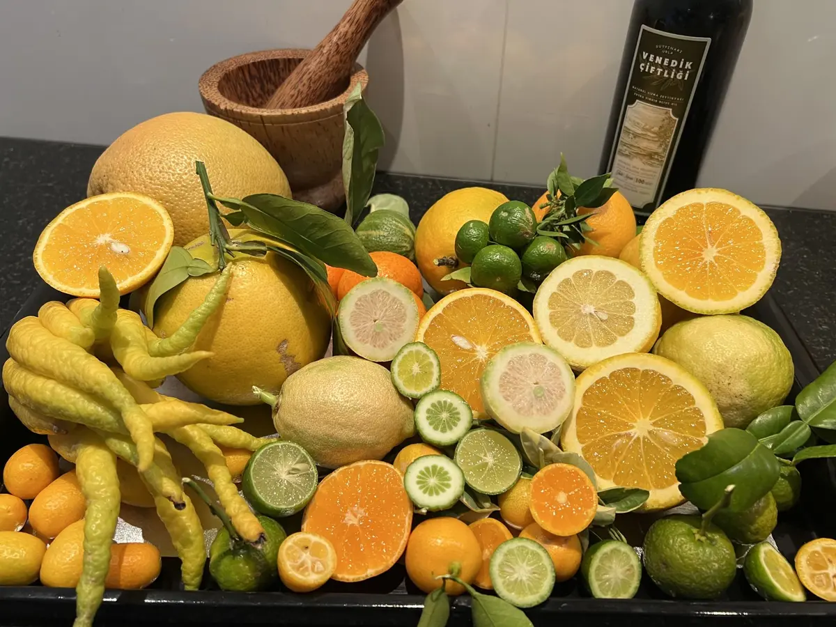 Les petits fruits : bien les choisir et bien les cultiver