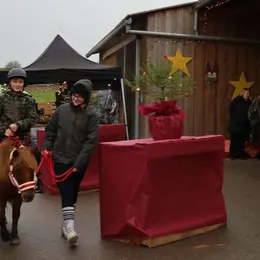 Marché de Noël à la Ferme du Château de Buswiller