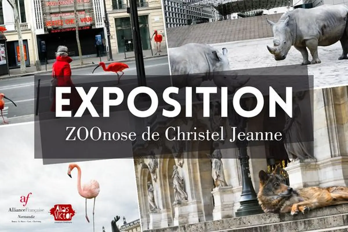 Exposition ZOOnose de Christel JEANNE