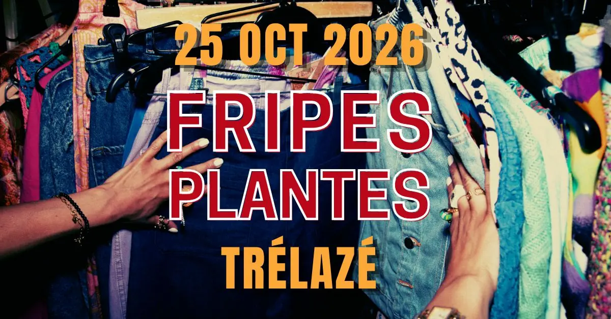 Grande vente de fripes et plantes - Trélazé 