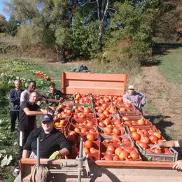 Jardin Ouvert : alimentation et solidarité