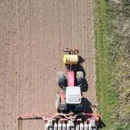 Festival AlimenTerre - Insecticide: comment l'agrochimie a tué les insectes