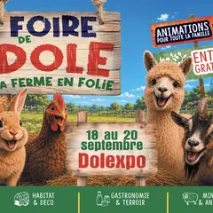 Foire de Dole