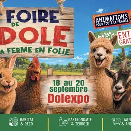 Foire de Dole