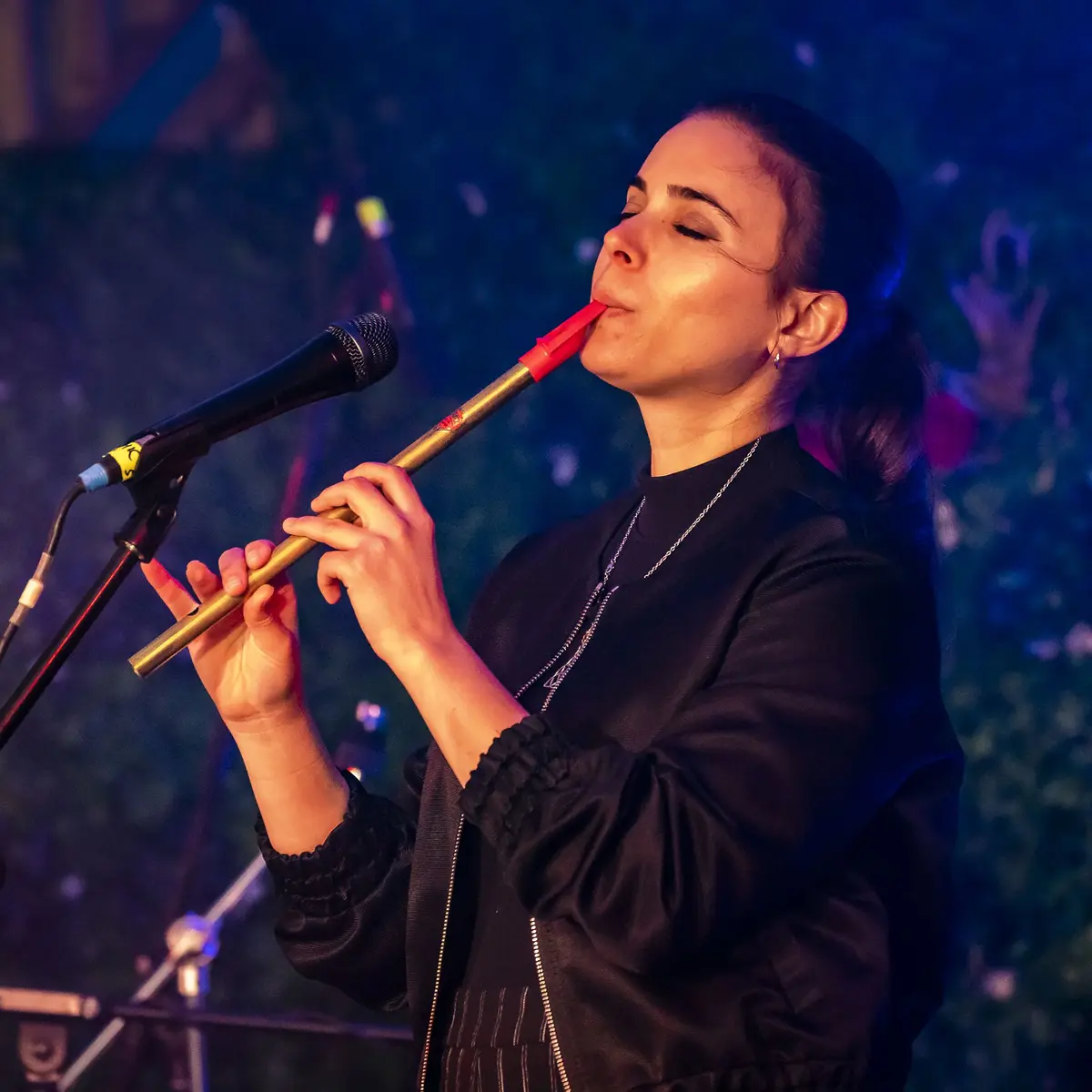 Moiira - Concert de Pop Celte française