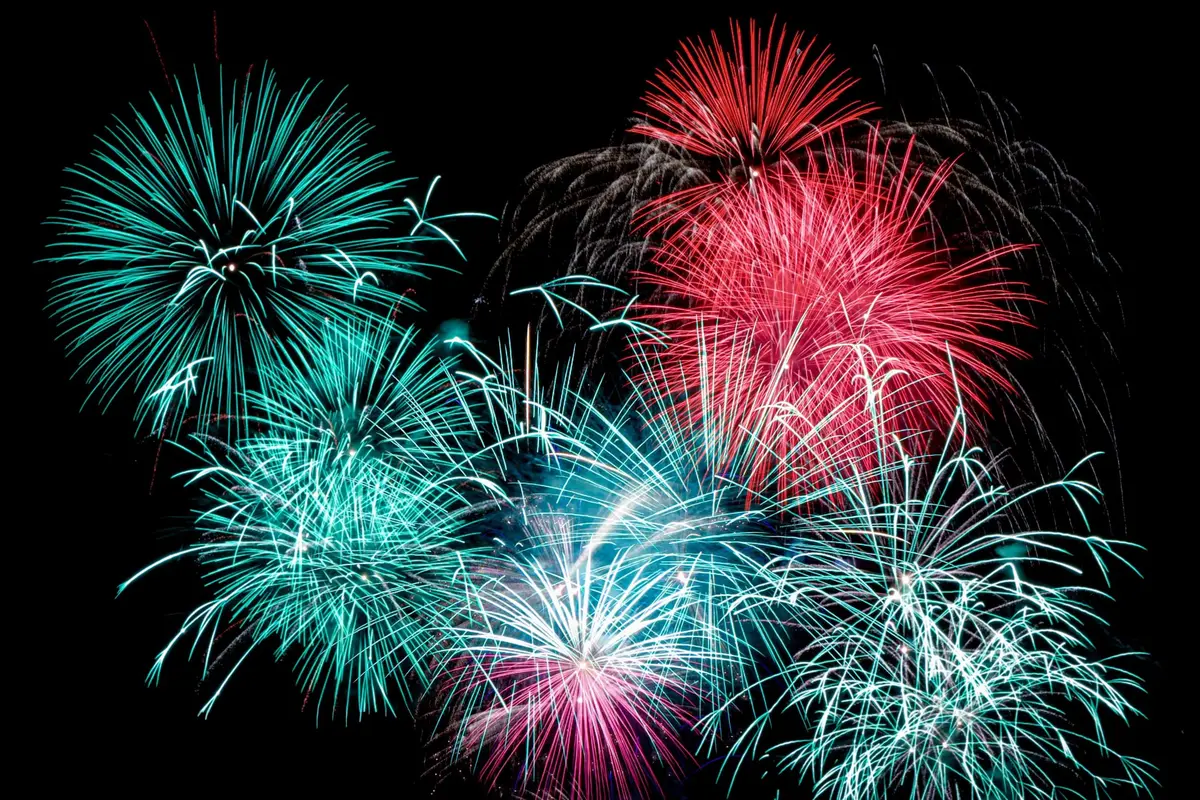 67 % des chiens stressés par les feux d'artifice : voici les conseils d'un vétérinaire pour aider votre animal à traverser sereinement le 14 juillet