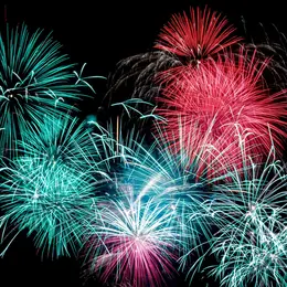 67 % des chiens stressés par les feux d'artifice : voici les conseils d'un vétérinaire pour aider votre animal à traverser sereinement le 14 juillet