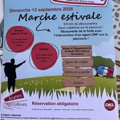 Marche estivale - immersion forestière Wissembourg
