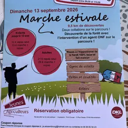 Marche estivale - immersion forestière Wissembourg