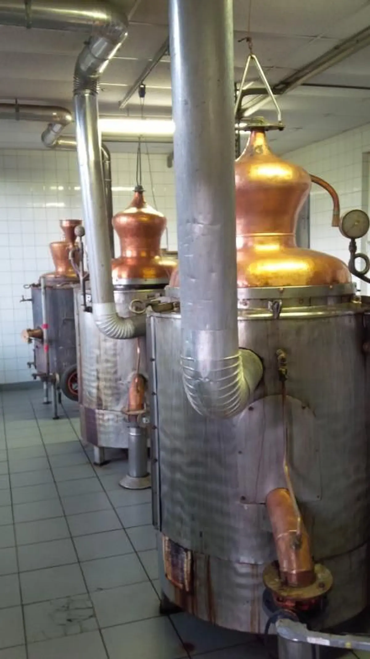 La distillation.