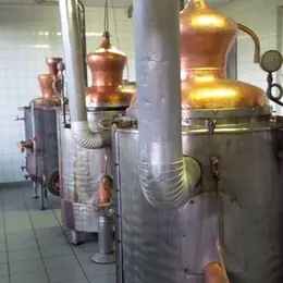 La distillation.