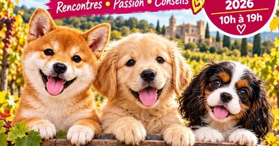 Salon du chiot et du chaton Narbonne