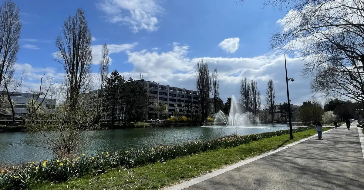 Allée William Wyler