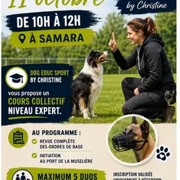 cours collectif canin ordres de base niveau expert et initiation à la muselière