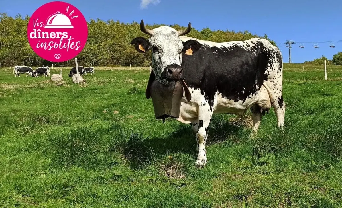 Dîner Insolite à la ferme by La Palette