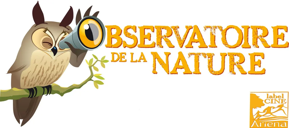 Casino nature 