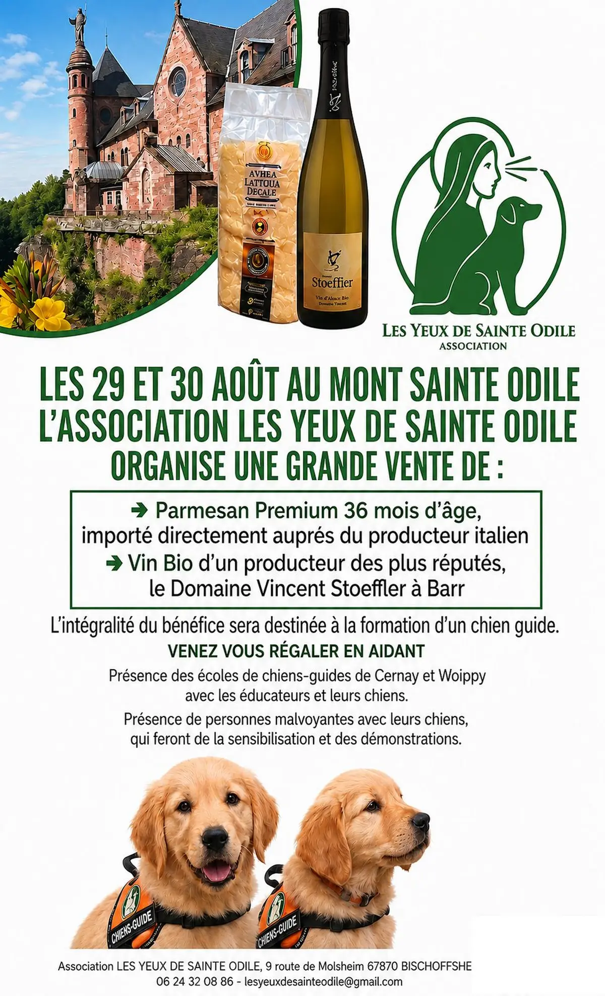 Un chien pour voir