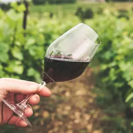 6ème Salon des vins natures