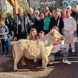 Marche Rose du Marais de Blonville-Villers