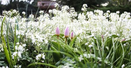 7 id&eacute;es sorties pour ce week-end dans le Haut-Rhin du 24 au 26 avril 2026