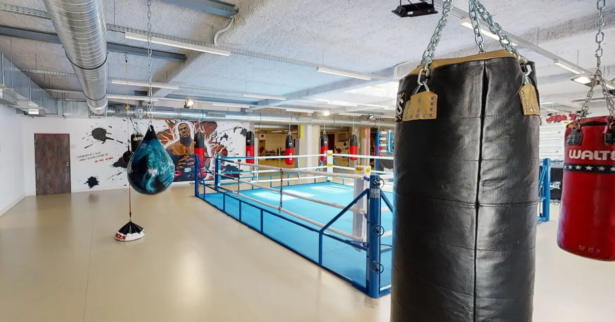 Sport de combat à Mulhouse