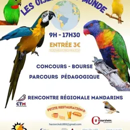 Les oiseaux du Monde