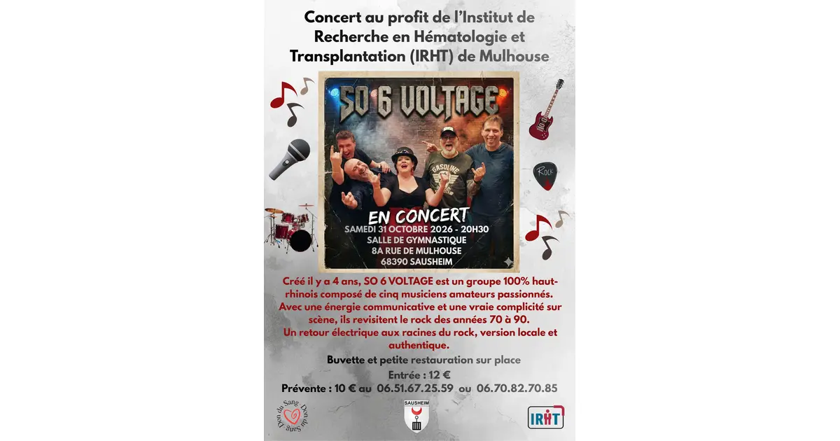 Concert de rock caritatif