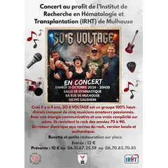Concert de rock caritatif