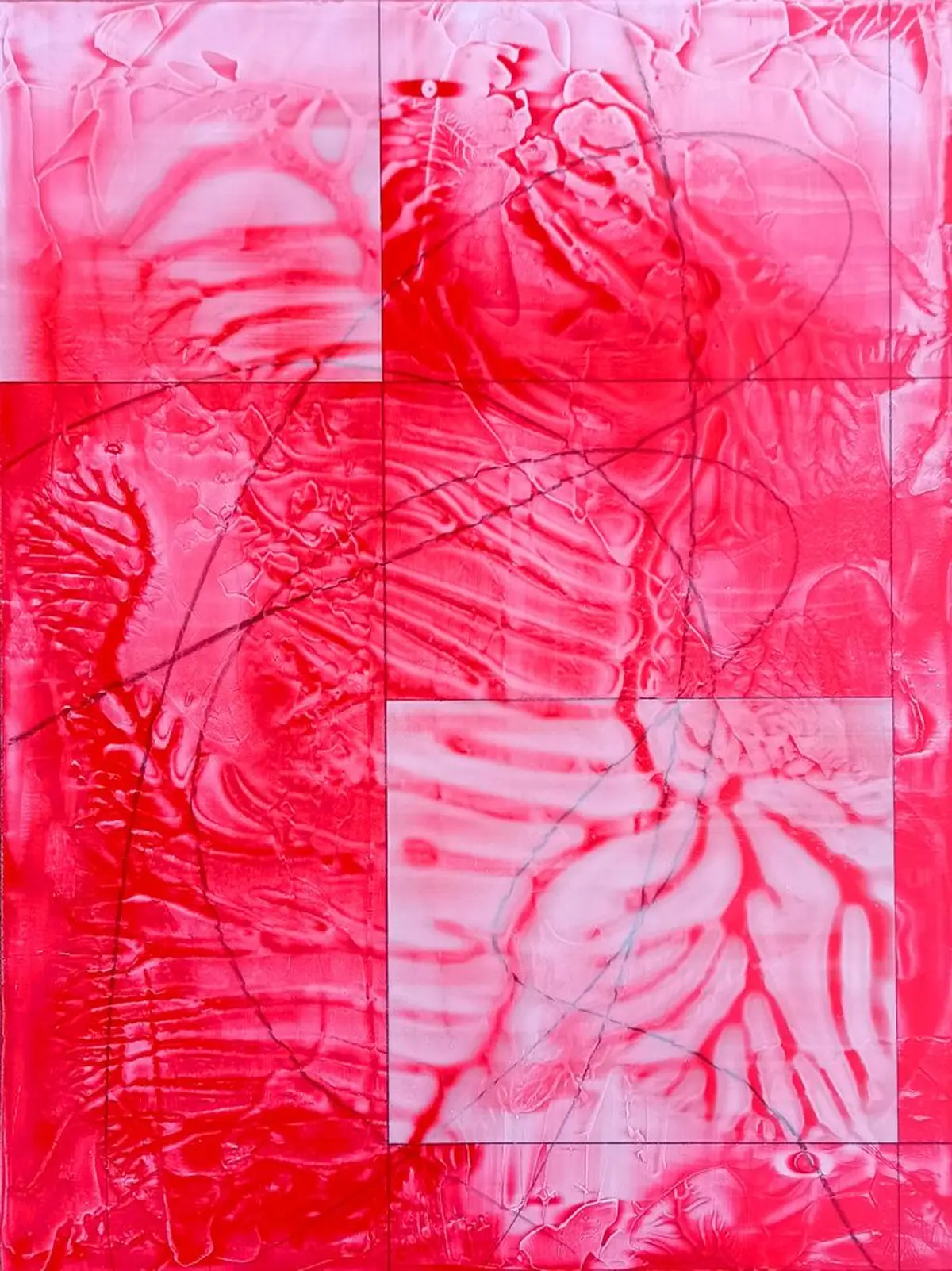 Exposition : Dynamiques du vivant — Entre eau et lumière, de Christopher Schmitt