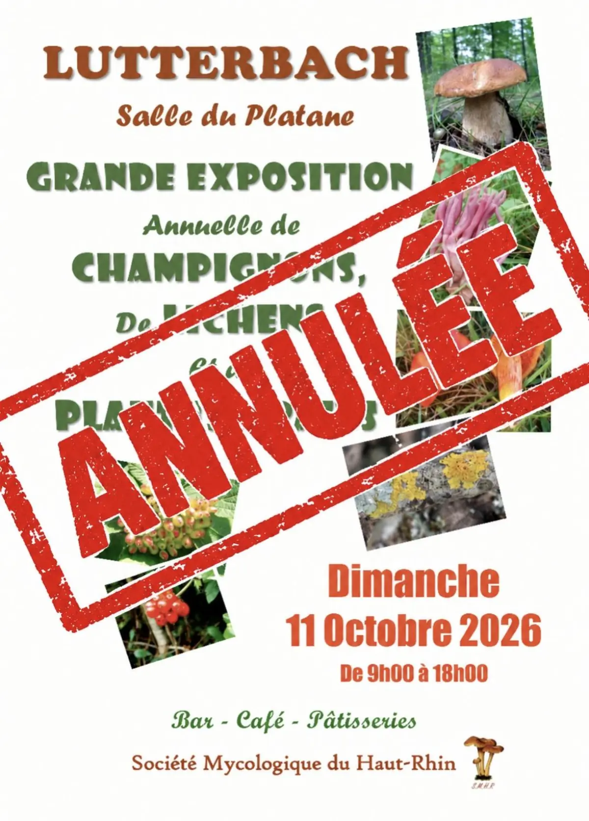Exposition de champignons et plantes à baies - ANNULEE