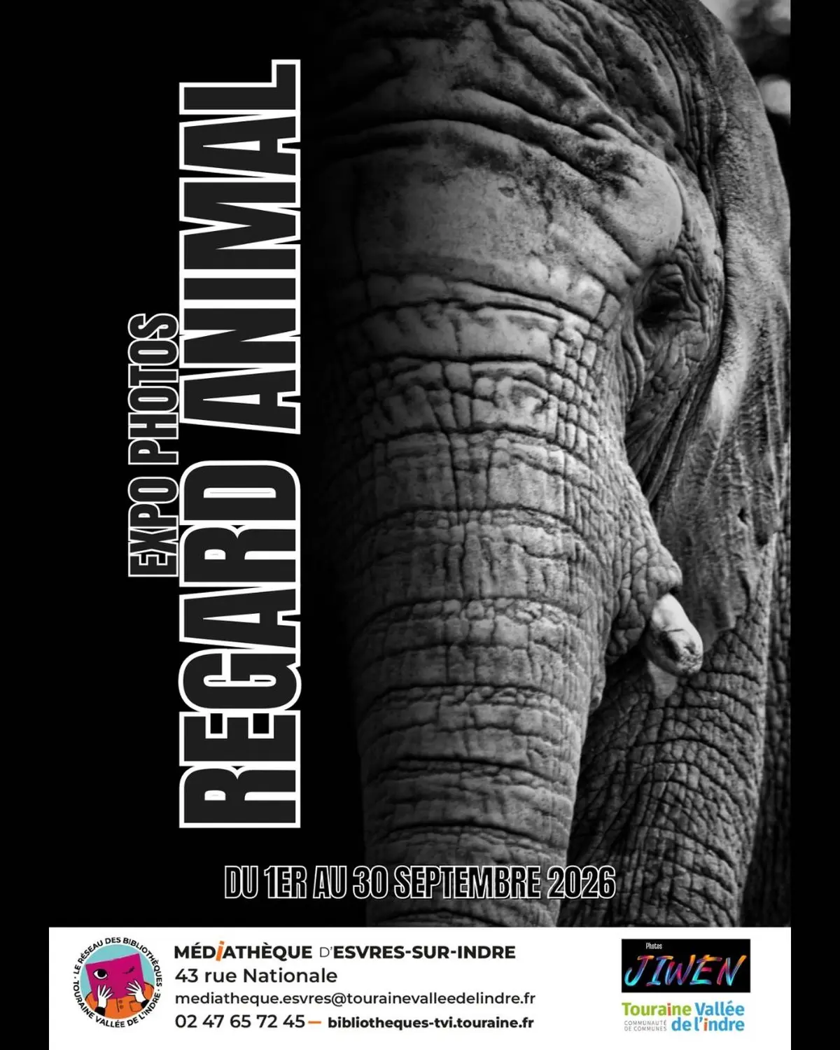 Regard Animal