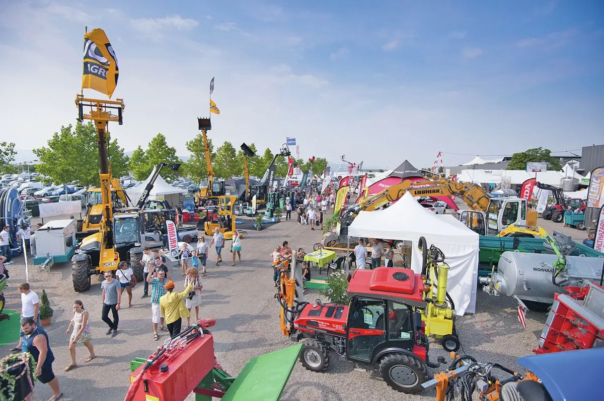 77e Foire aux Vins d'Alsace : Le rendez-vous incontournable de l'été à Colmar
