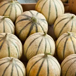 Vente de melons de l'association Les Amis de Lectoure