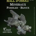 9e SALON MINERAUX FOSSILES BIJOUX d'automne de SOUMOULOU (Pyr&eacute;n&eacute;es-Atlantiques)