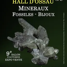 9e SALON MINERAUX FOSSILES BIJOUX d'automne de SOUMOULOU (Pyrénées-Atlantiques)