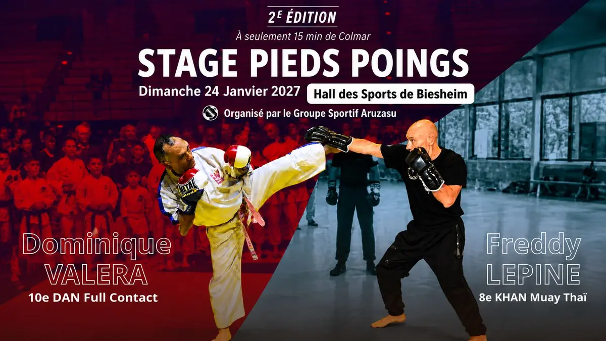 Stage Pieds-Poings avec Dominique Valera & Freddy Lepine - 2e édition