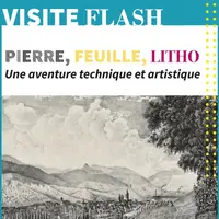 Visite Flash : Exposition Pierre, Feuille, Litho &copy; CCRG-Pah