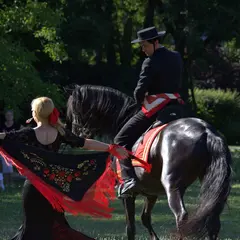 Spectacle EquiDanse au Château de Jaulny