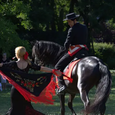 Spectacle EquiDanse au Château de Jaulny