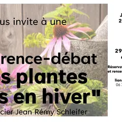 Les plantes utiles en hiver