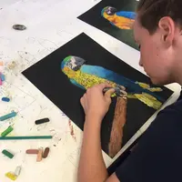Atelier initiation pastels secs &copy; Atelierjaunesafran